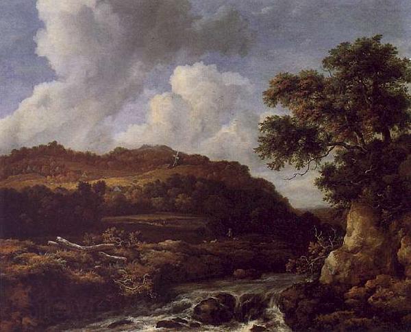 Jacob van Ruisdael The Great Forest France oil painting art